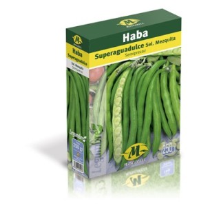 SEMILLA HABA SUPERAGUADULCE (1 KG)