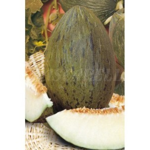 SEMILLA MELON PIEL DE SAPO
