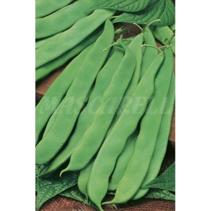 SEMILLA JUDIA SUPERMARCONI (MATA ALTA) 250GR