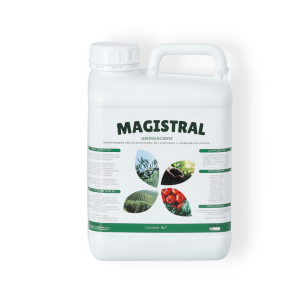 MAGISTRAL 5LT