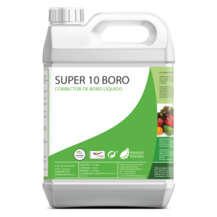 BORO SUPER 10B 5LT