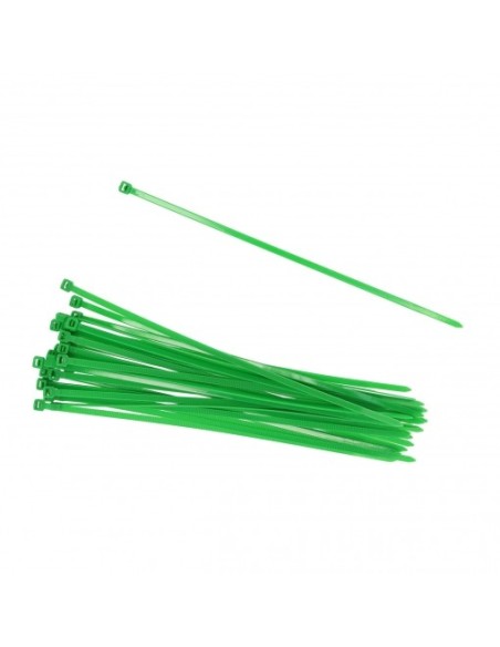BRIDA VERDE 4,6 X 200
