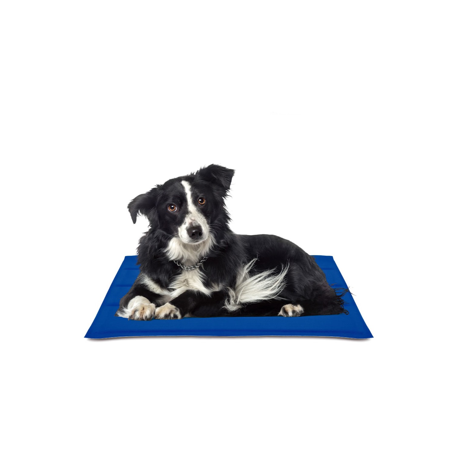 Alfombrilla refrescante cool mat gel azul 50x90cm nayeco Alfombrilla refrescante cool mat gel azul 50x90cm nayeco