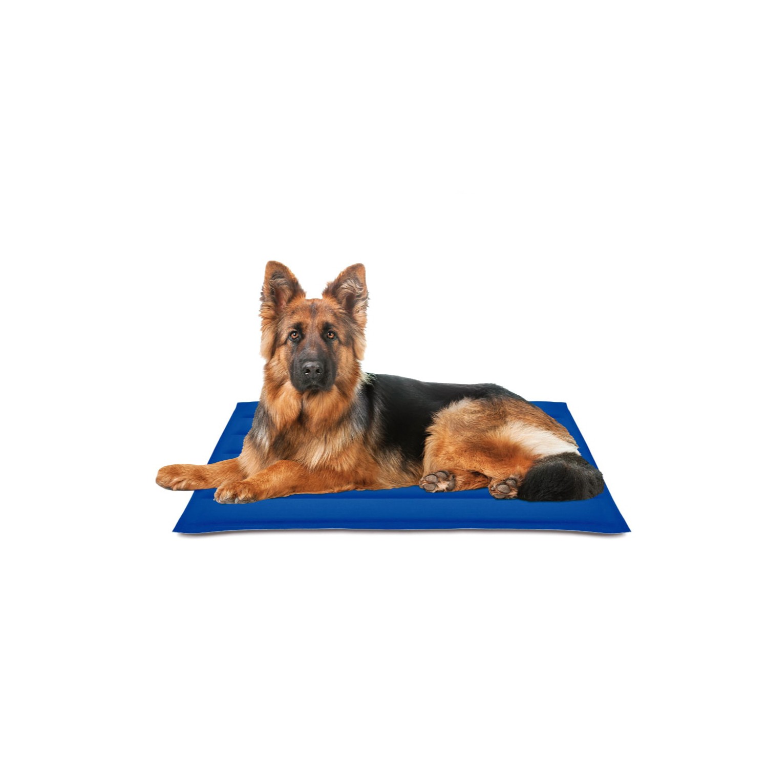 Alfombrilla refrescante cool mat gel azul 90x105cm nayeco Alfombrilla refrescante cool mat gel azul 90x105cm nayeco