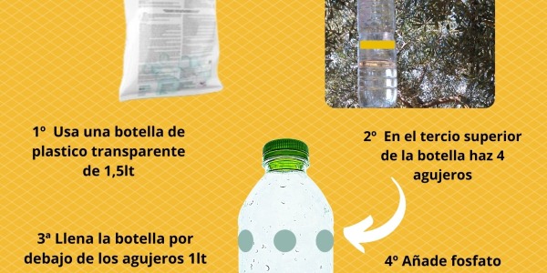 Trampa modo Olipe para Mosca del Olivo