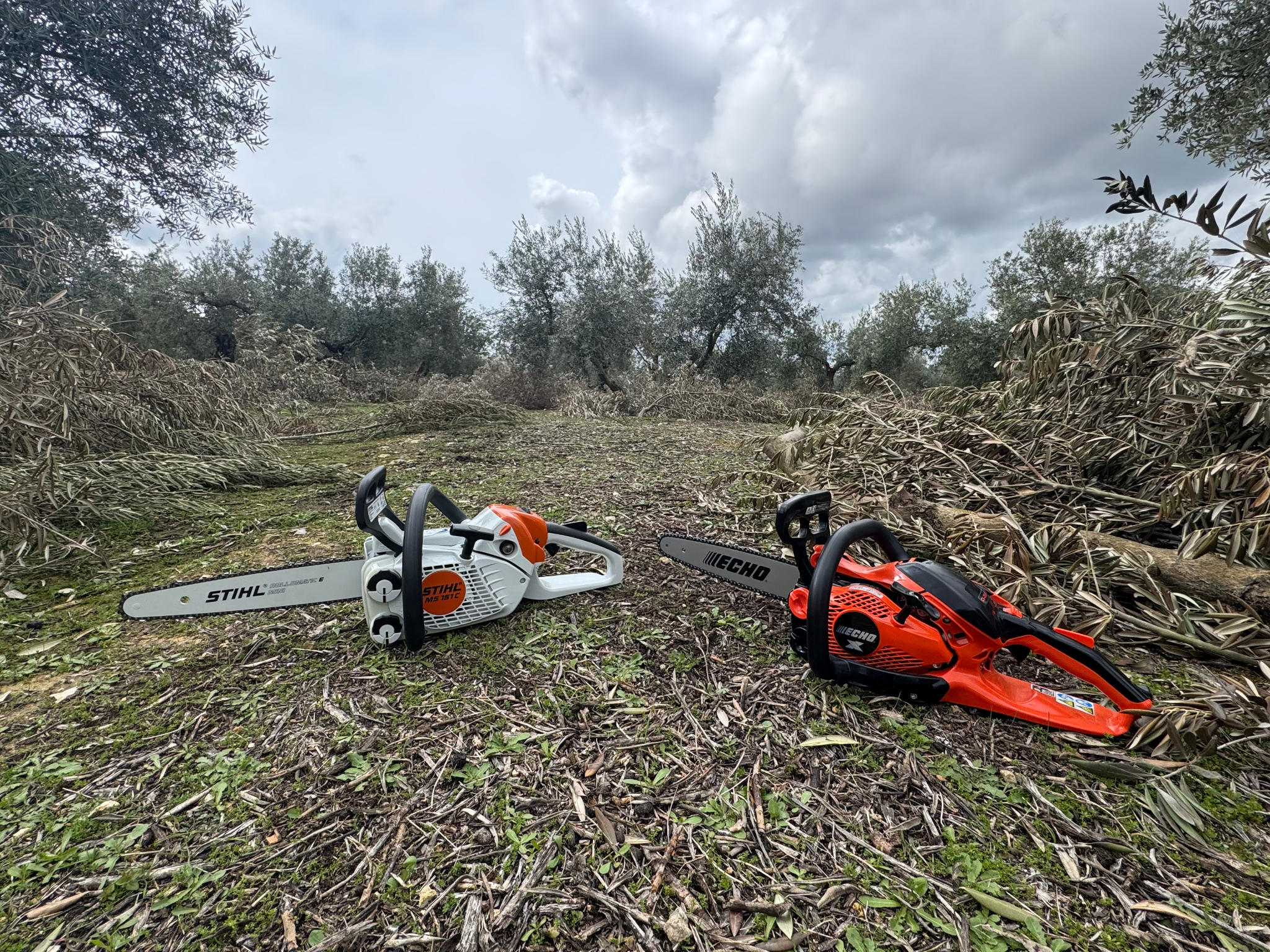Que motosierra comprar Stihl MS151 o Echo CS2511