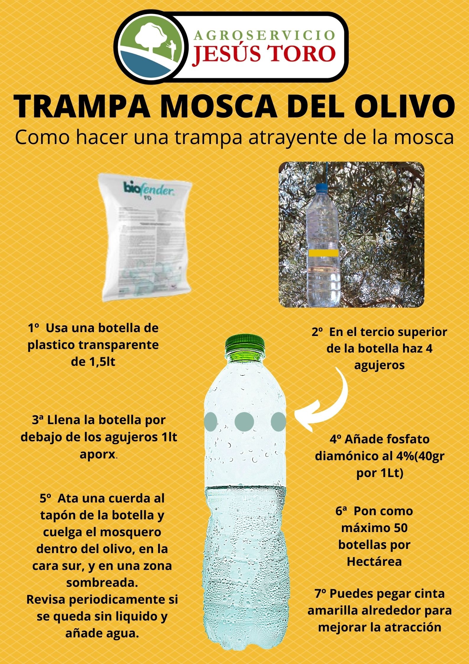 Trampa modo Olipe para Mosca del Olivo