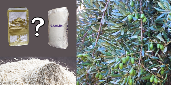 Diferencia entre Caolín y Tierra de Diatomeas, cual usar?